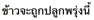 Description: ESL_MBP:MYPASSPORT:PASSPORTFOLDER:0 ESL PASSPORT:OTHER:0002 OTHER:country of origin stuff not pronun:Thai:Passive - Thai:tense example future will 2 B.png